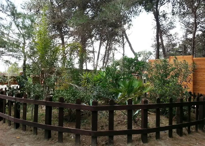 假日公园 Circolo Velico Lucano 波利科罗